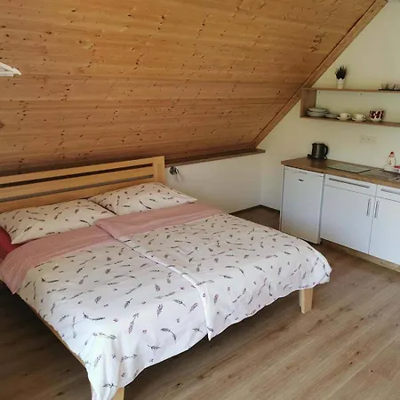 Vilapavlov Guest house